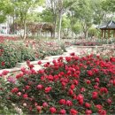 대구광역시달서구보건소 이미지