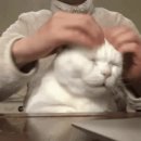 몰트베 네이버블로그