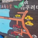 호반로농장 이미지