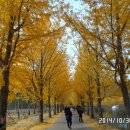 저수지길 이미지