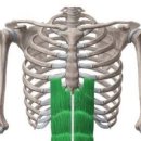 제이에스PT 동탄3호점 이미지