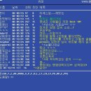 하이텔 Daum카페