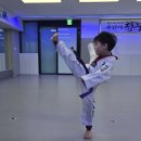 용인대 정무태권도장 이미지