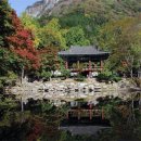 무릉선원 이미지