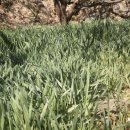 섬진강농장 이미지