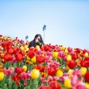 신리길L 투어코리아