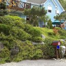 금당계곡 펜션 이미지