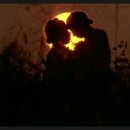 칼라퍼플 이미지