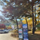 씨유 마석시인의정원점 | 망원 하늘공원 억새축제, 하늘공원보다 더 좋던 곳
