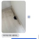송중동주민센터 회의실 | 그냥 눈 감았다 뜨니까 7월이 끝났어요..