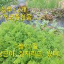 오뚜기농장 이미지