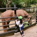 바른유치원 이미지