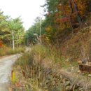 실상사앞 이미지