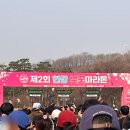 박차돈 | 런런이 생애 첫 마라톤, 한강 벚꽃 마라톤 완주 후기