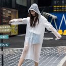 155 이미지