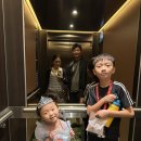 이도메디컬 | 어드벤처 크루즈(4박 5일) 2편 - 2일차/3일차/이메지네이션가든/디스커버리리프/웨이파인더/메디컬센터