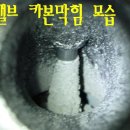 울산부란자
