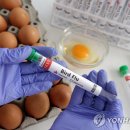 엘통신판매 이미지