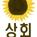 해바라기상회 - 강화군 중앙로 17-9 | 해바라기상회