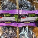 주문진세꼬시회 이미지