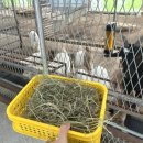 채기농장 이미지