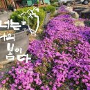 나들이농장 이미지