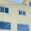 콩이랑 초이랑 이미지