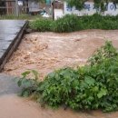 공덕세천 이미지