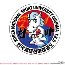 한국체대 천마태권도 이미지