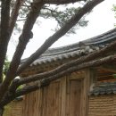 영모각 Daum카페