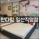 판다림 | [판다림 일산직영점] 11년째 3번째 구매하는 판다림의 라텍스 구입후기/내돈내산