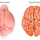 13헤르츠 이미지