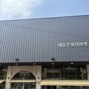 <조카돌반지구매>대구 샤나주얼리 대구돌반지 조카돌반지 구매 내돈내산 후기