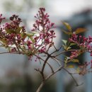 대구광역시립중앙도서관 이미지