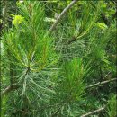 경화농장 이미지