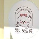 빵이펫살롱 이미지