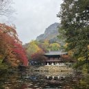 백양사 주차장 화장실 이미지