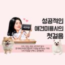 계룡애견 이미지