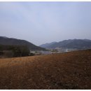 장구봉등산로 이미지