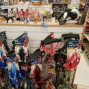 강남펫스타일 이미지