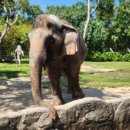 리버게임장 이미지