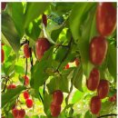 동해래요펜션 이미지