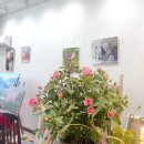 맞춤형 수채화/유화 이미지