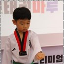 마루태권도 이미지