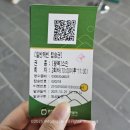 호수카 | 춘천 삼악산 호수 케이블카 애견동반 내돈내산 추천후기