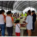 관호농장 이미지