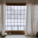 세븐일레븐 강릉강문스타점 이미지