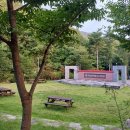 화천동물병원 | 국립 화천 숲속 야영장 계곡캠핑장 18번 28번 2박 3일 후기 명당자리(애견 동반 사이트 있음)