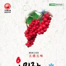 명전계곡 네이버블로그