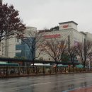 분당-346 이미지